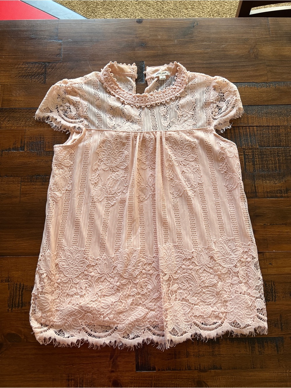 Ultra Pink Blush Lace Short-Sleeve Blouse
